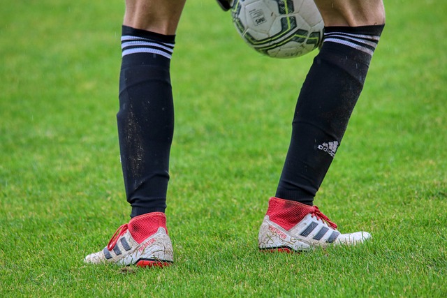 意媒：小斯坦科维奇获比利时联赛十月最佳球员，国米密切关注