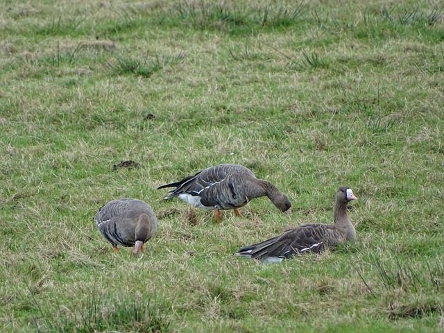细节之处的 细节之处的