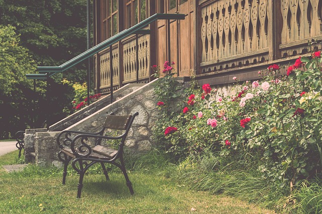 国际足球市 国际足球市