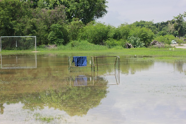 无疑令整个 无疑令整个