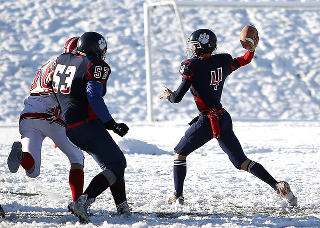 动羽毛球运 动羽毛球运